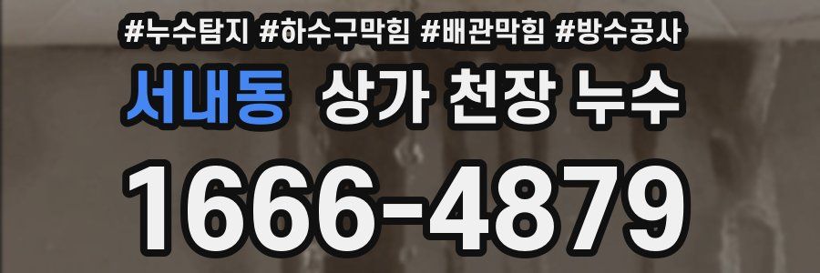 서내동 상가 천장 누수