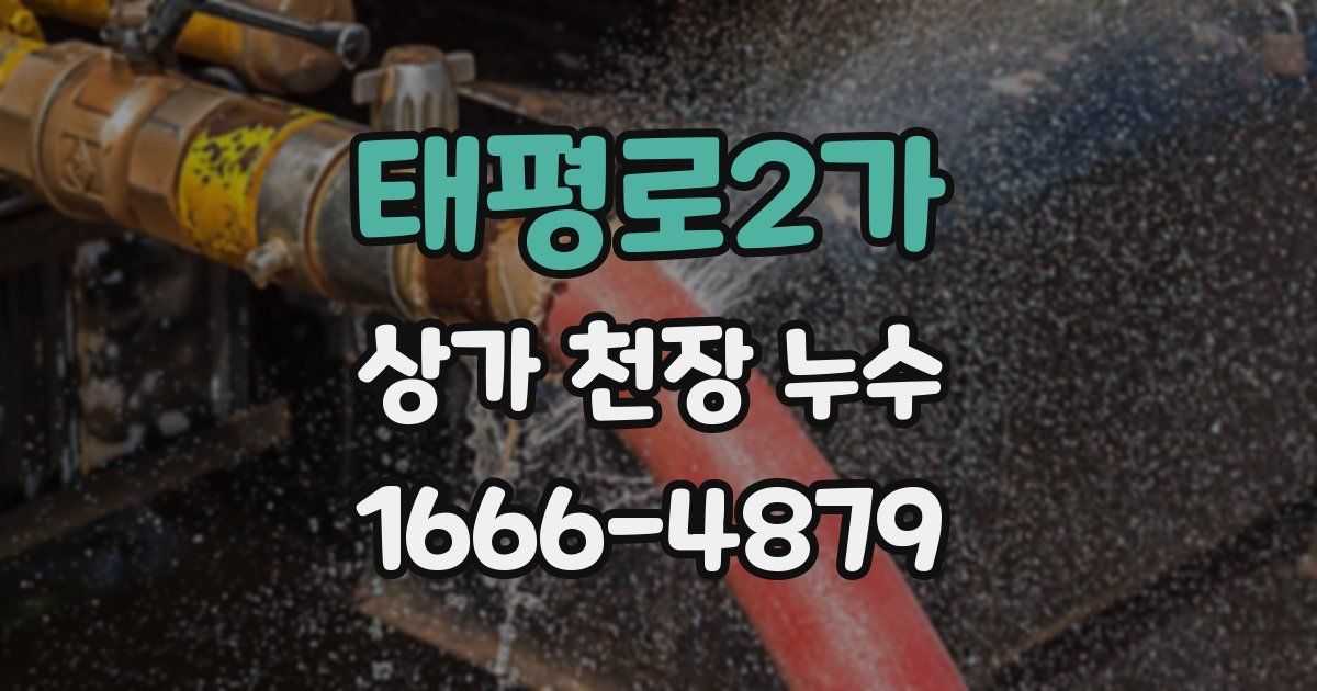 태평로2가 상가 천장 누수