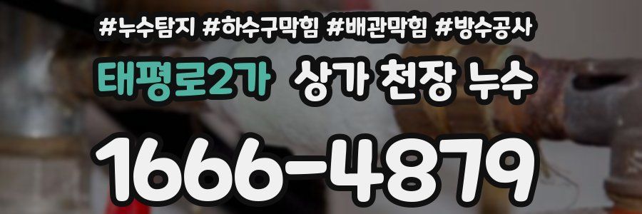 태평로2가 상가 천장 누수