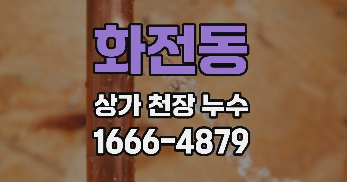 화전동 상가 천장 누수