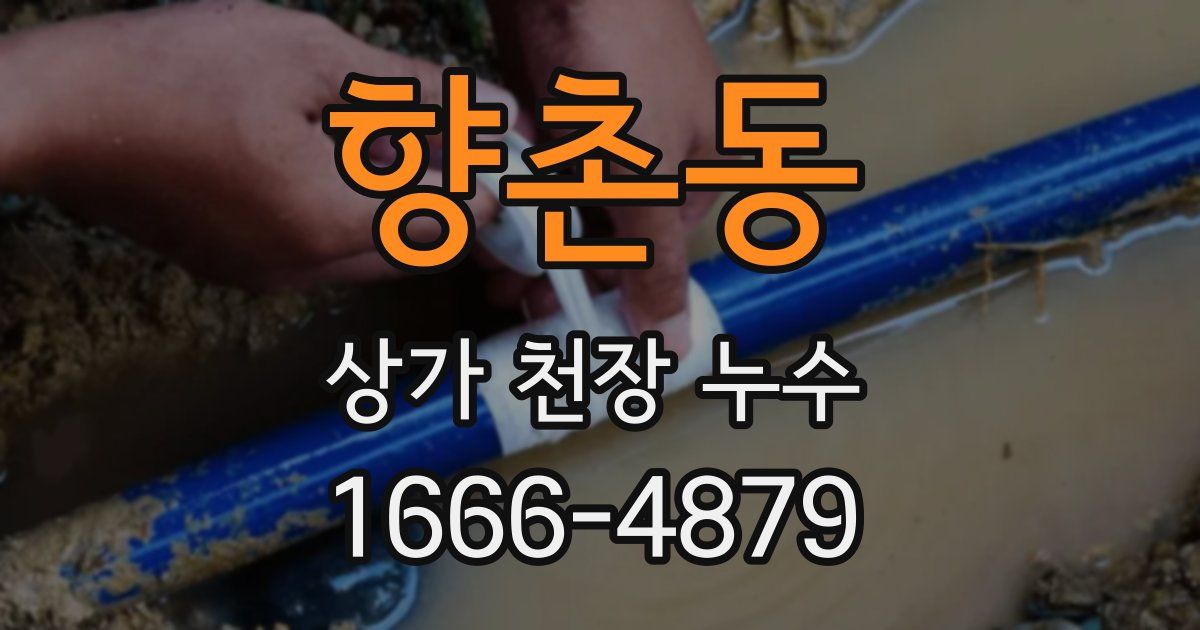 향촌동 상가 천장 누수
