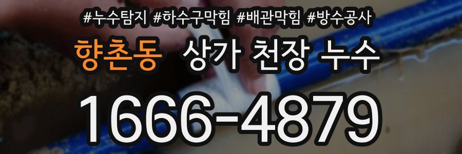 향촌동 상가 천장 누수