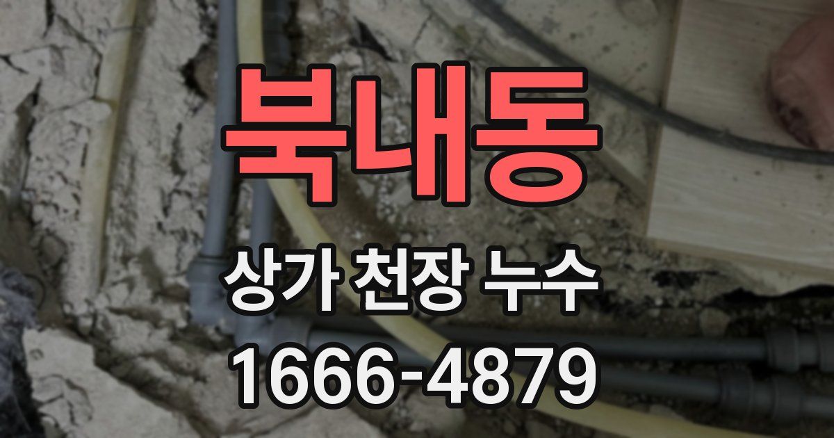 북내동 상가 천장 누수