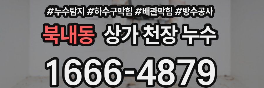 북내동 상가 천장 누수