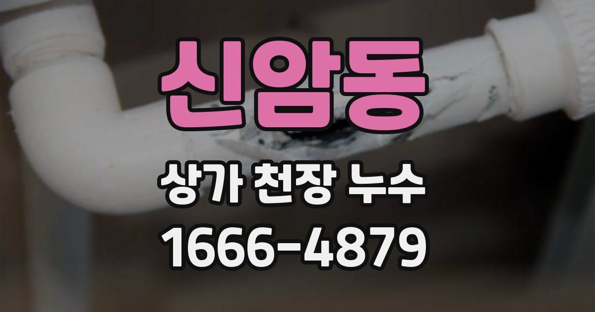 신암동 상가 천장 누수
