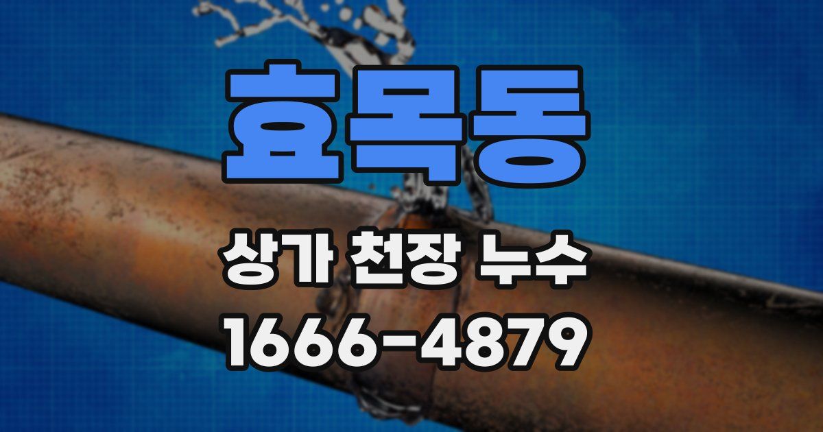 효목동 상가 천장 누수