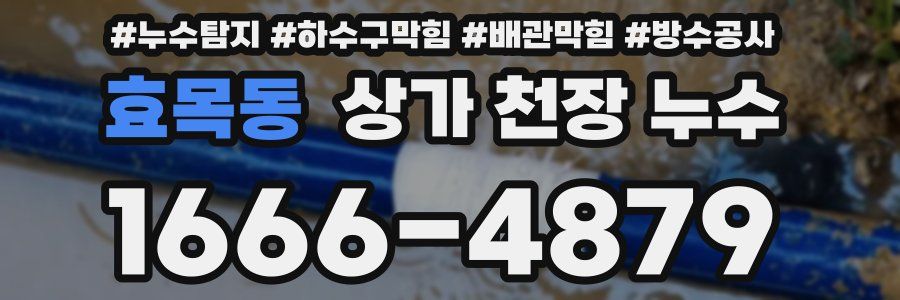 효목동 상가 천장 누수