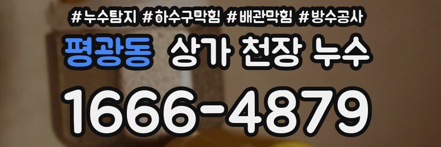 평광동 상가 천장 누수