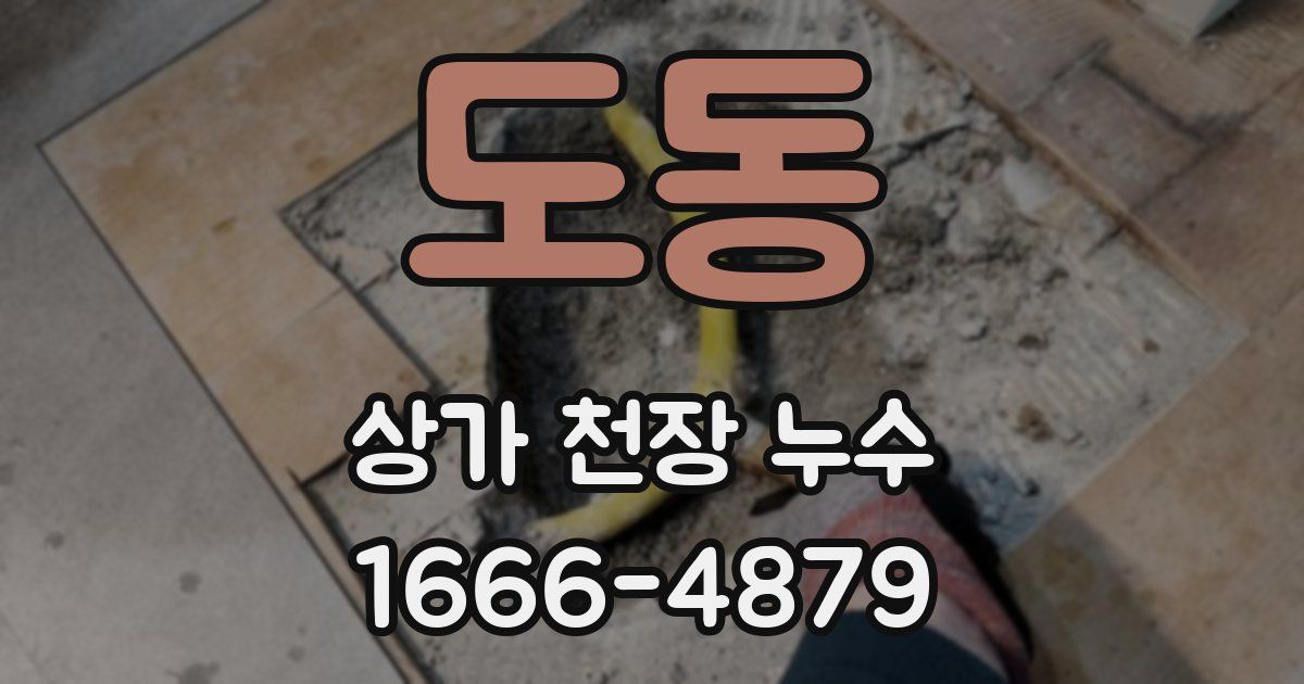 도동 상가 천장 누수