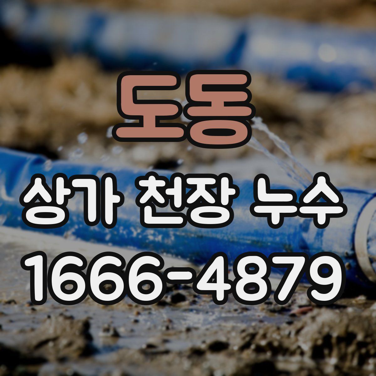 도동 상가 천장 누수