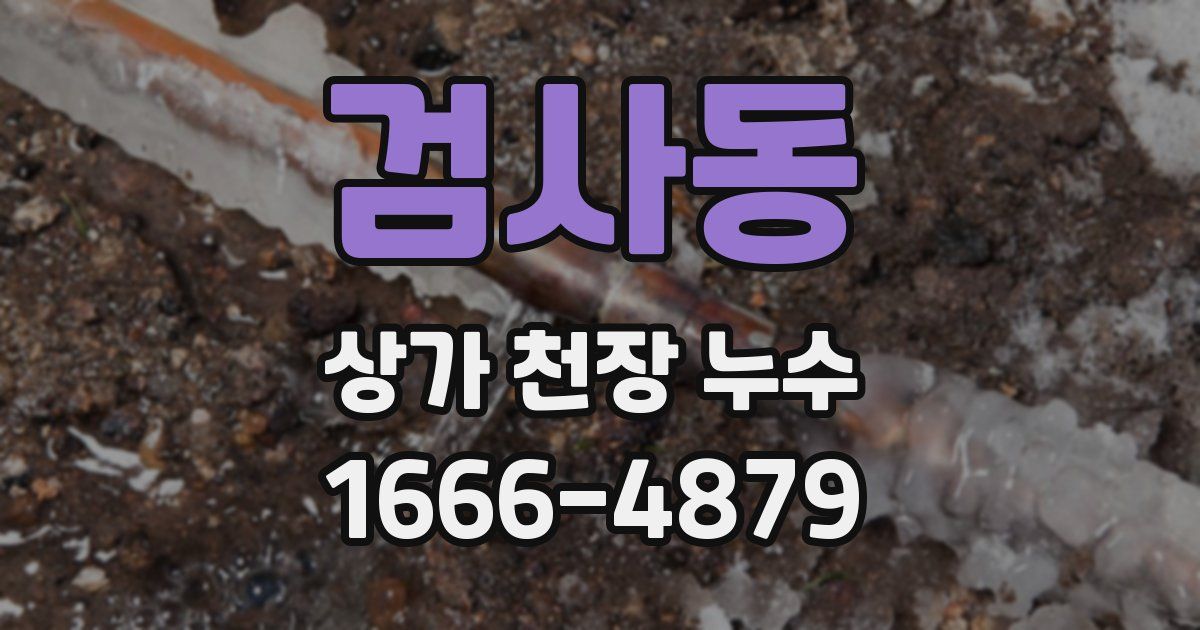 검사동 상가 천장 누수