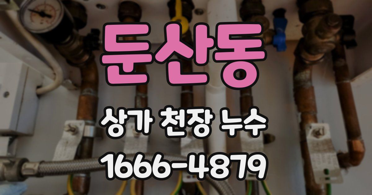 둔산동 상가 천장 누수