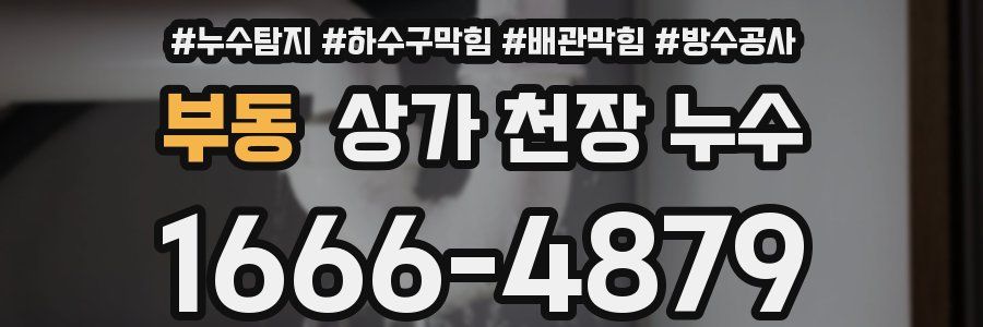 부동 상가 천장 누수