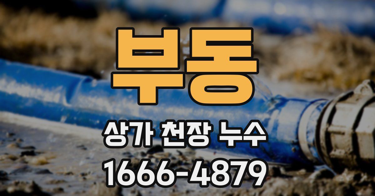 부동 상가 천장 누수