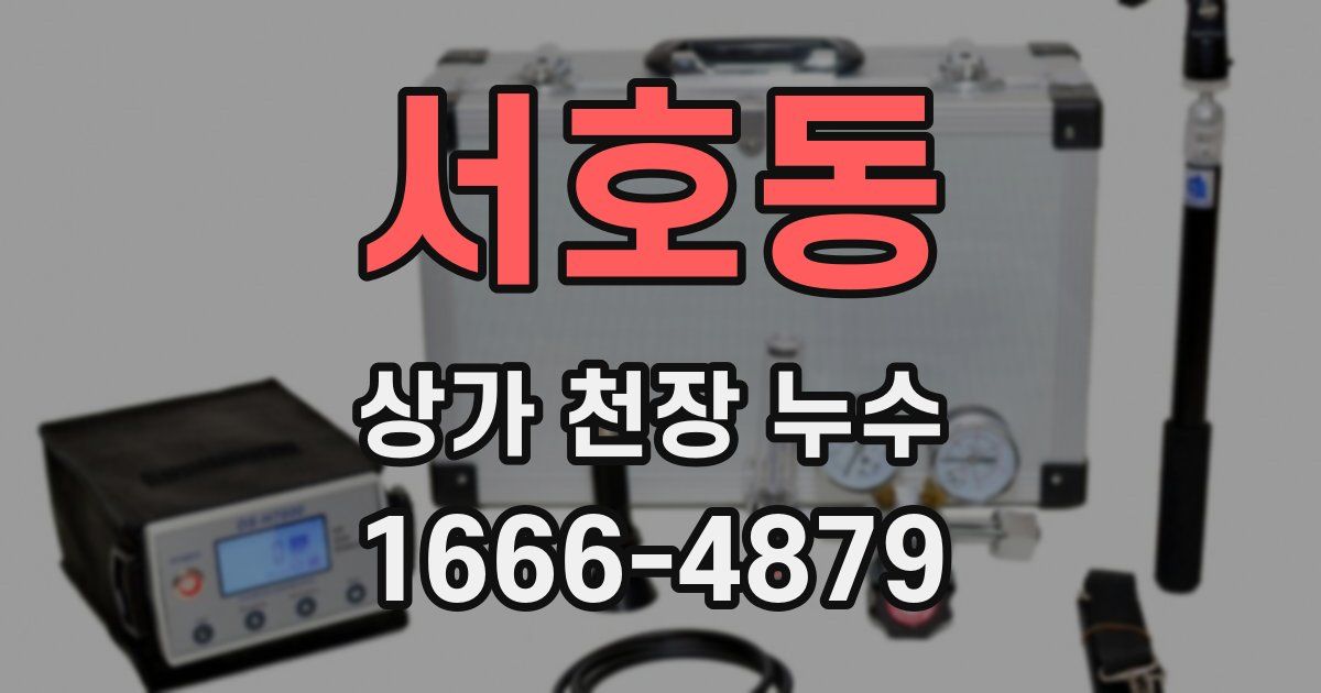서호동 상가 천장 누수