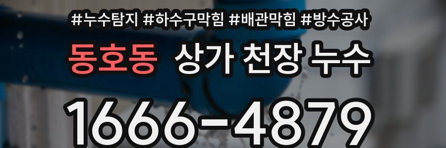 동호동 상가 천장 누수