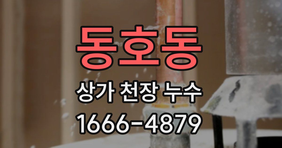 동호동 상가 천장 누수