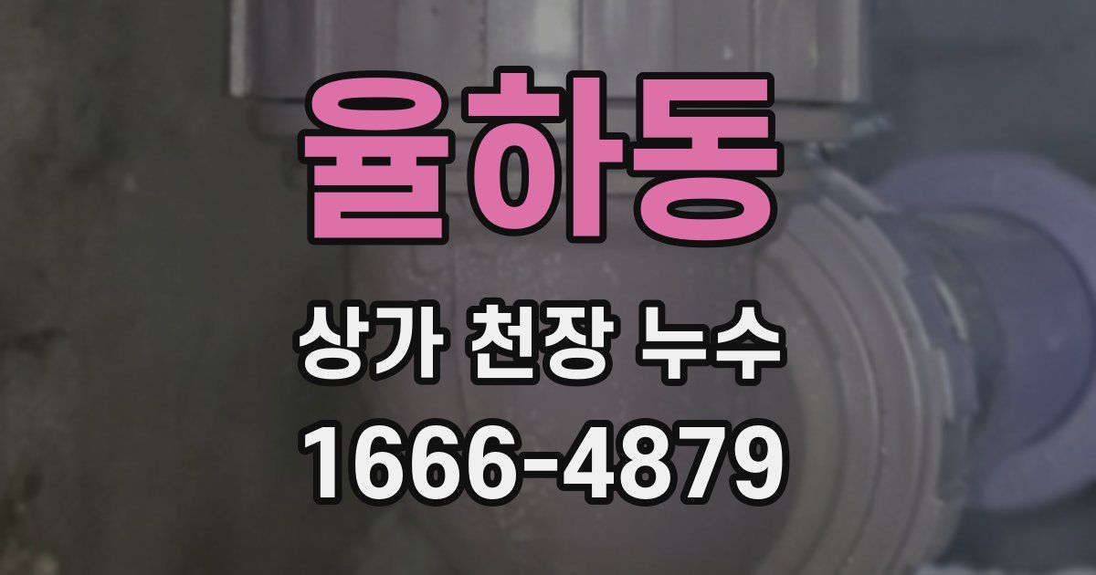 율하동 상가 천장 누수