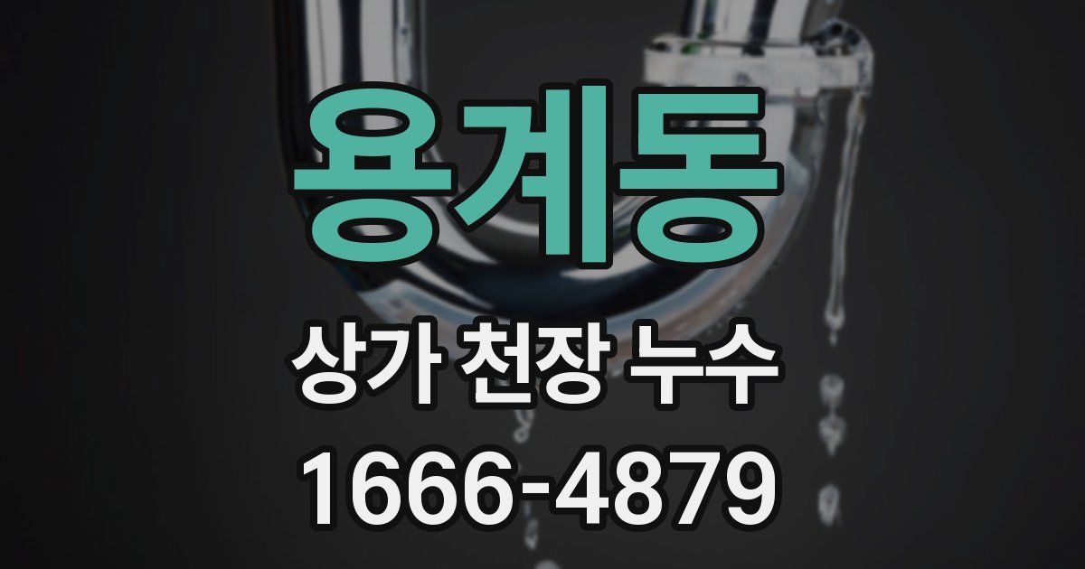 용계동 상가 천장 누수