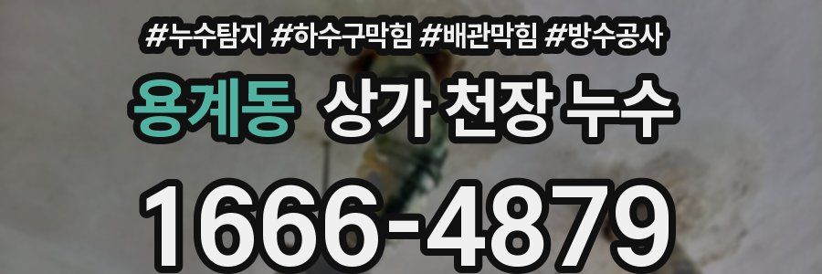 용계동 상가 천장 누수
