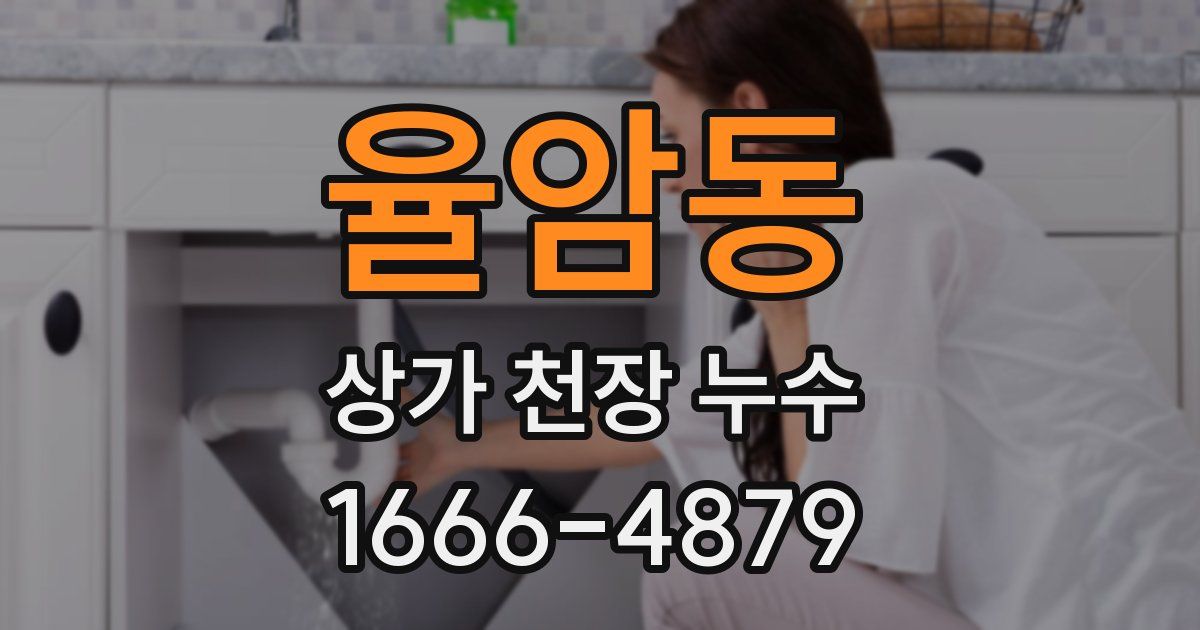 율암동 상가 천장 누수