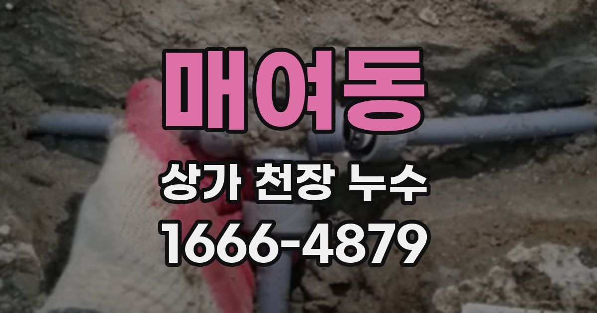매여동 상가 천장 누수
