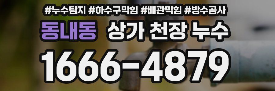 동내동 상가 천장 누수