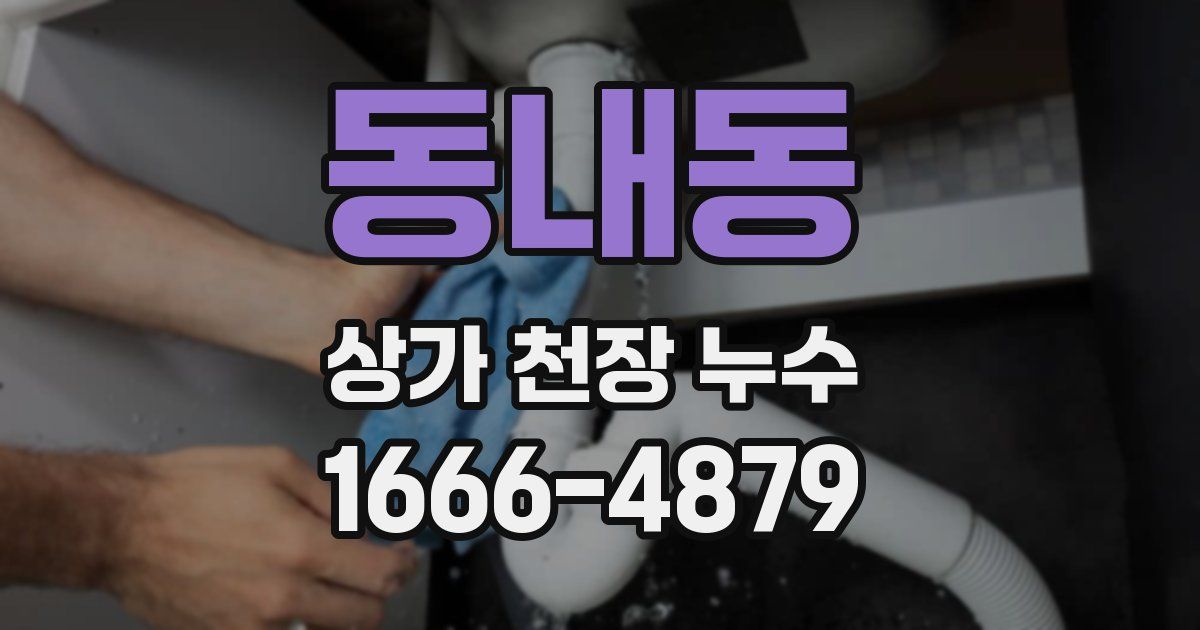 동내동 상가 천장 누수