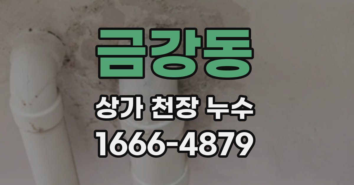 금강동 상가 천장 누수
