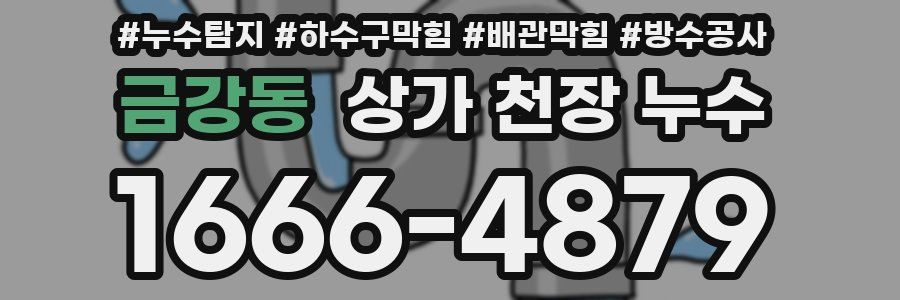 금강동 상가 천장 누수