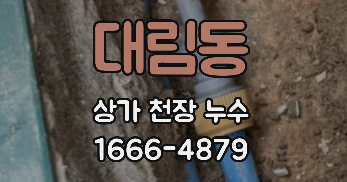 대림동 상가 천장 누수