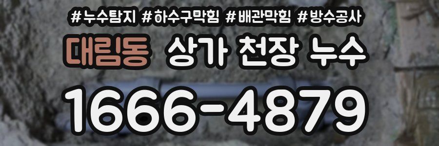 대림동 상가 천장 누수