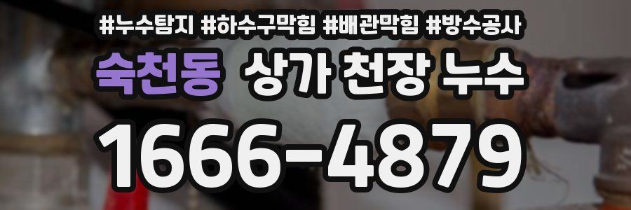 숙천동 상가 천장 누수