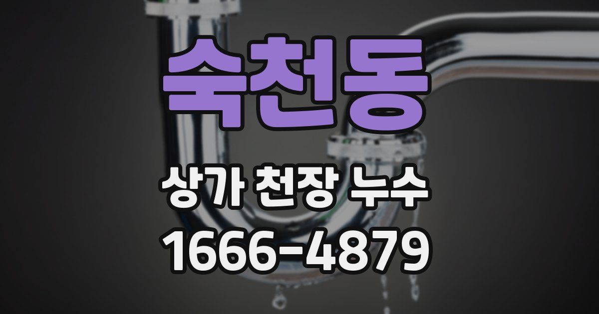 숙천동 상가 천장 누수