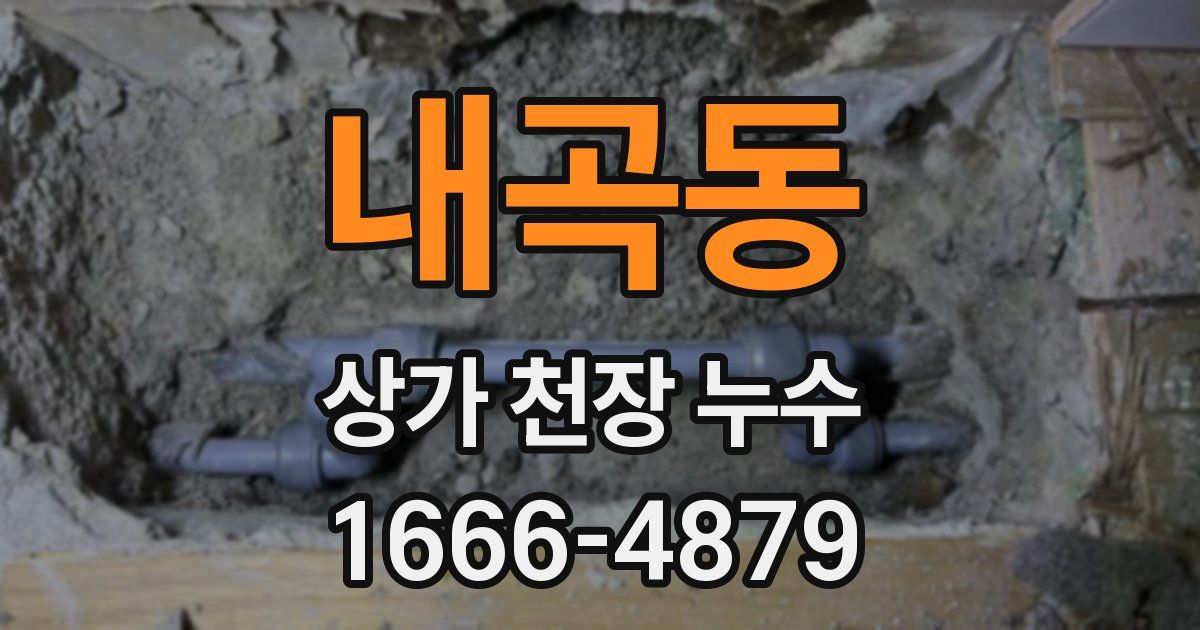 내곡동 상가 천장 누수