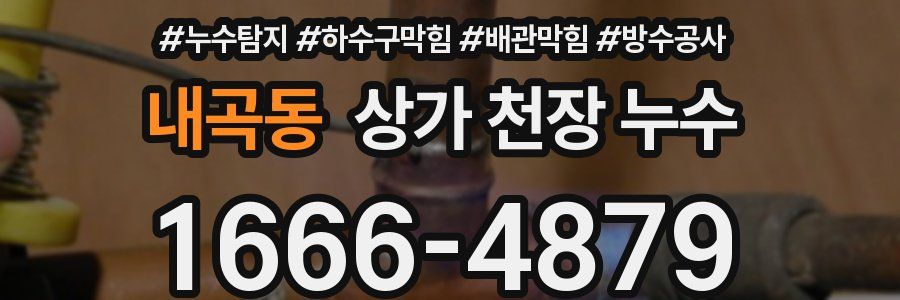 내곡동 상가 천장 누수