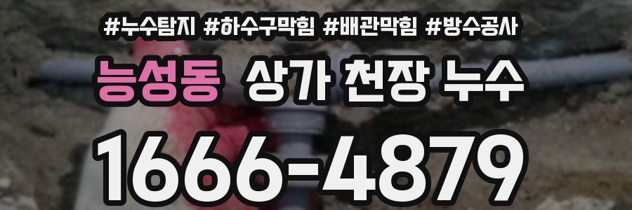 능성동 상가 천장 누수