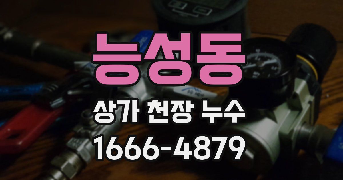 능성동 상가 천장 누수