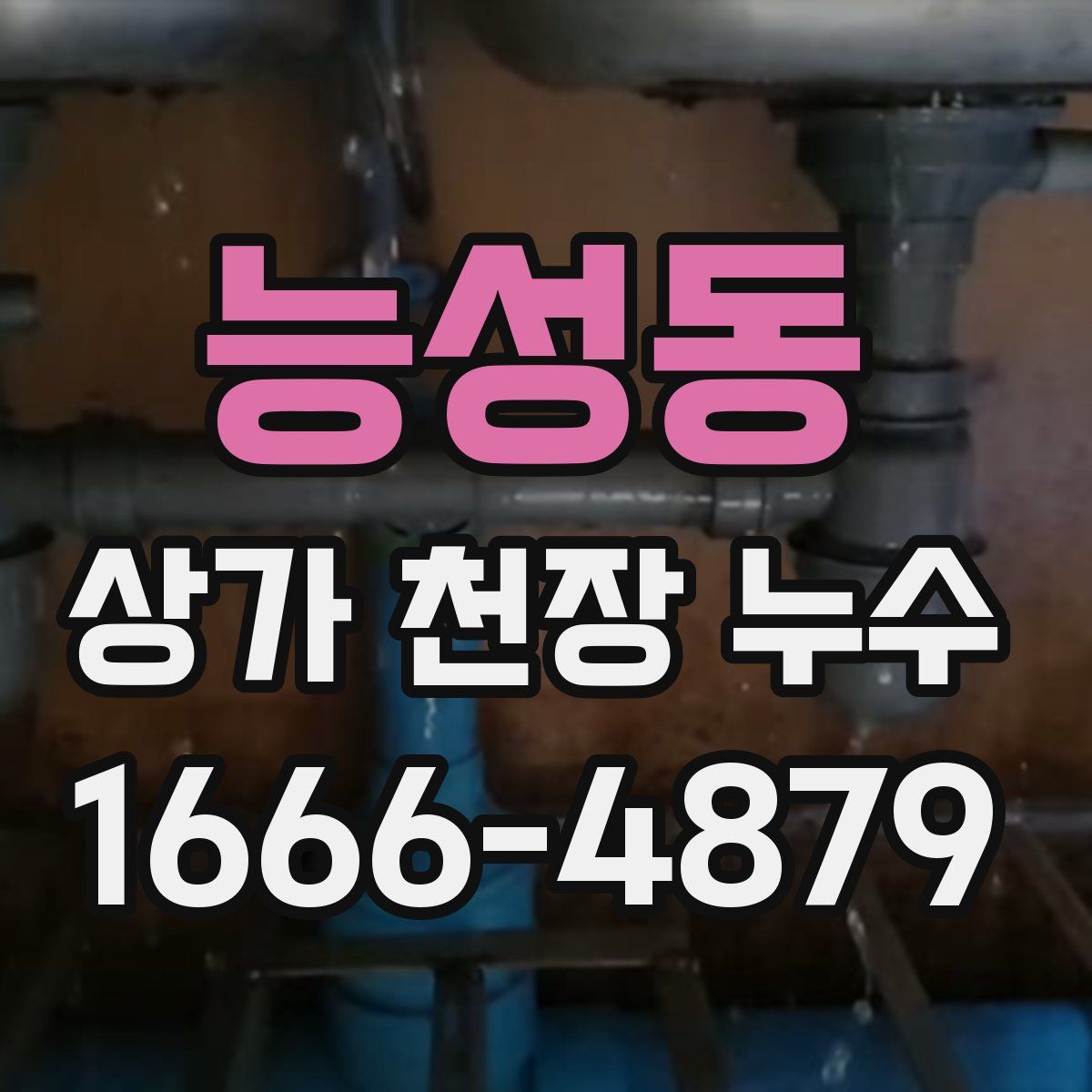 능성동 상가 천장 누수