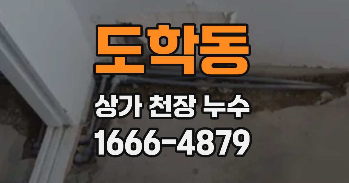 도학동 상가 천장 누수