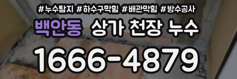 백안동 상가 천장 누수