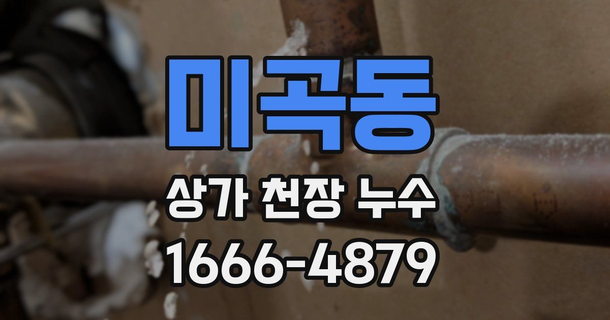 미곡동 상가 천장 누수