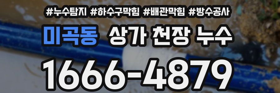 미곡동 상가 천장 누수