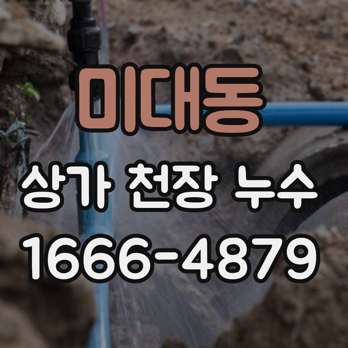 미대동 상가 천장 누수