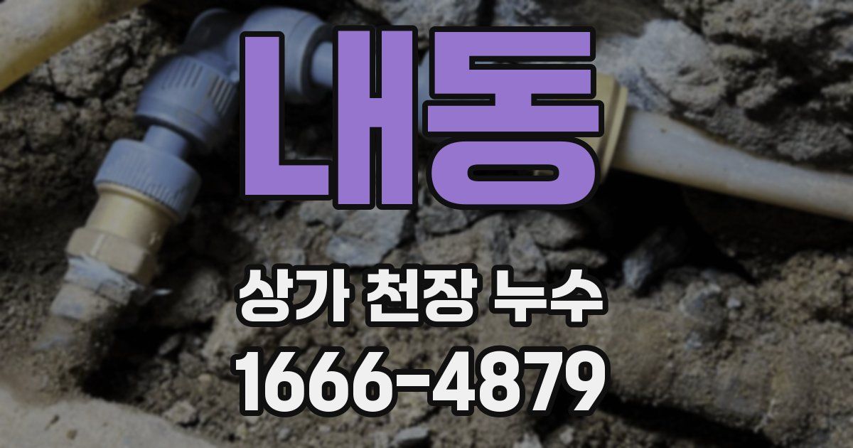 내동 상가 천장 누수