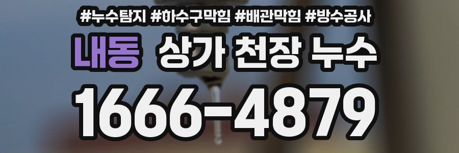 내동 상가 천장 누수