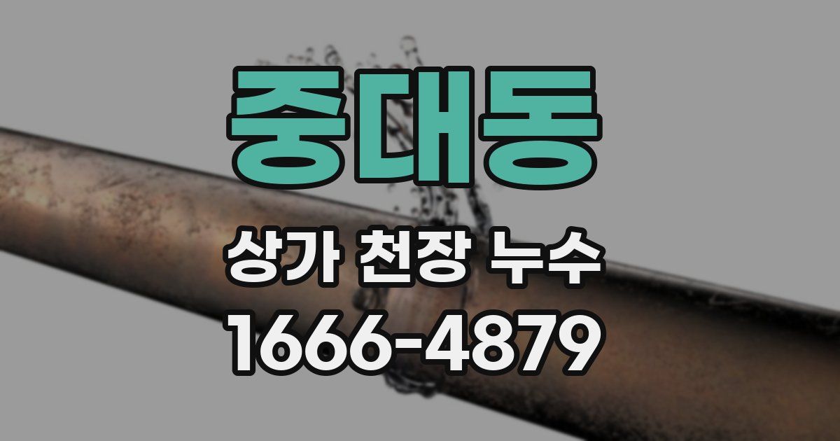 중대동 상가 천장 누수