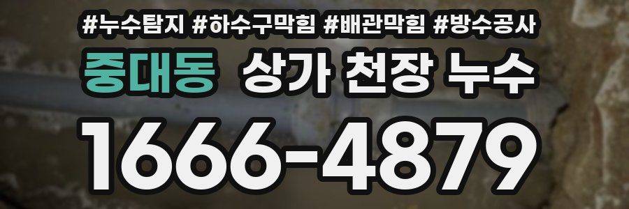 중대동 상가 천장 누수