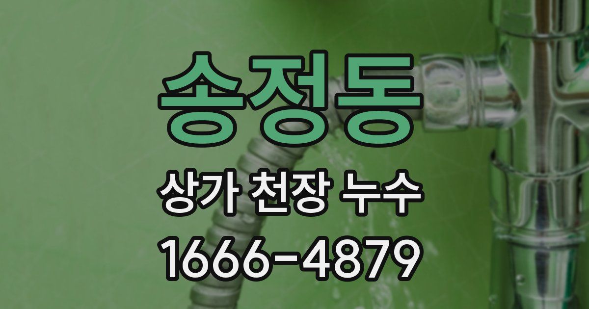 송정동 상가 천장 누수
