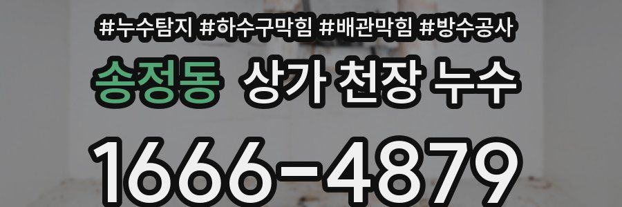 송정동 상가 천장 누수